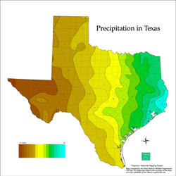 Texas Average Rainfall.